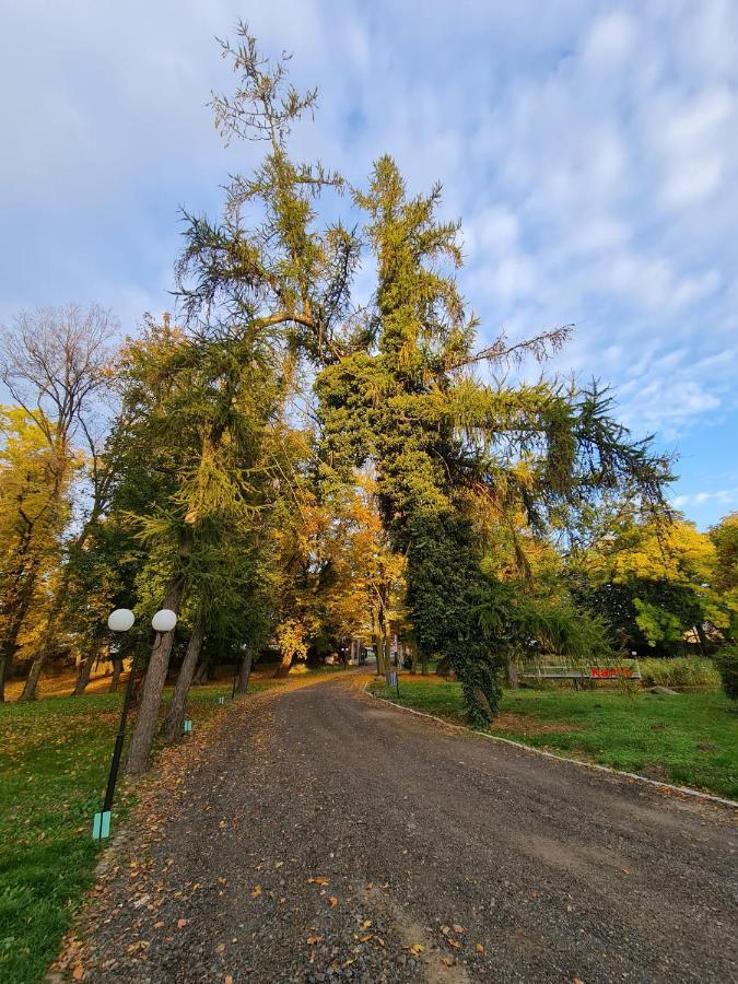 Dwór Podstolice Exterior foto